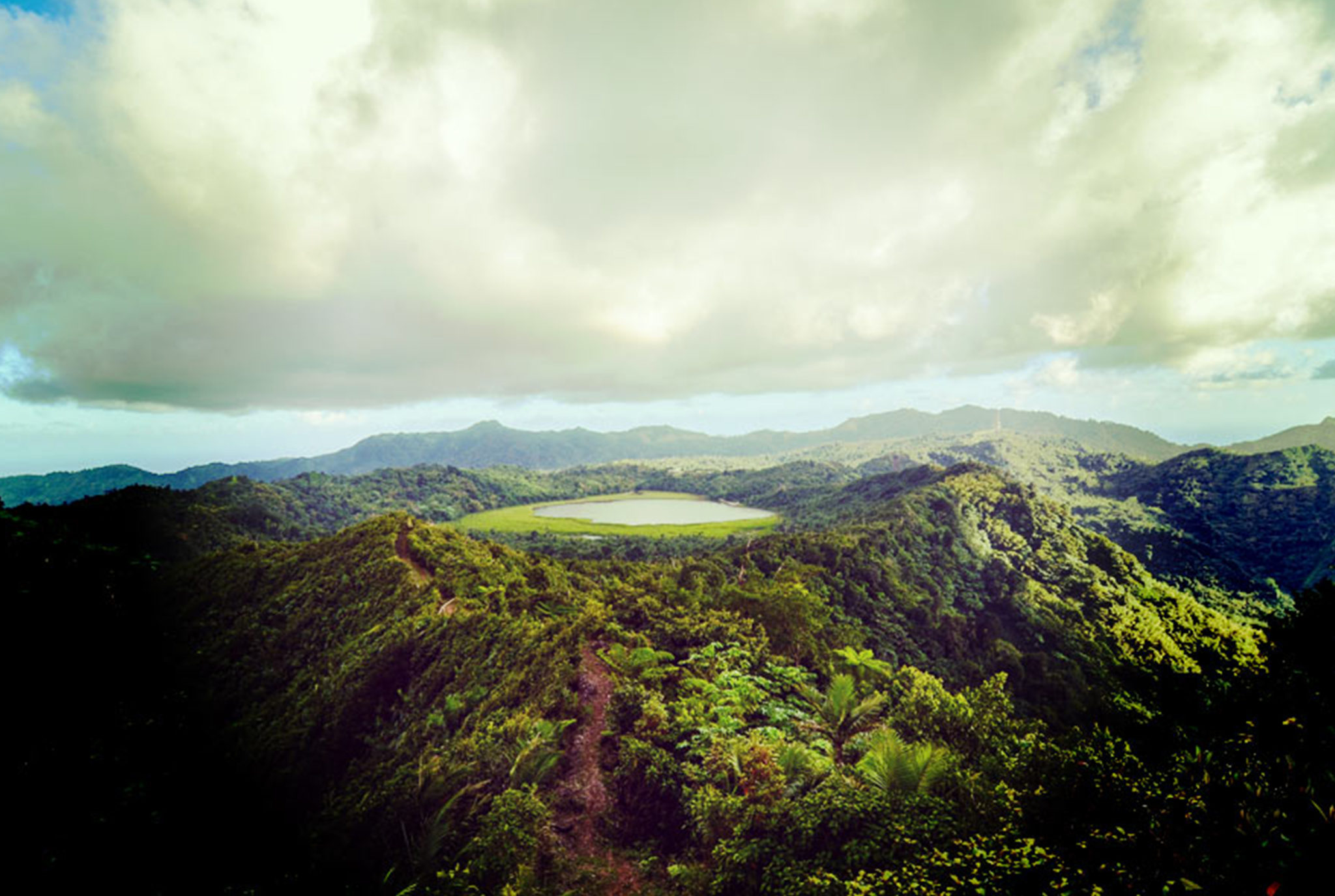 Grenada Nature Grand Etang Rain Forest