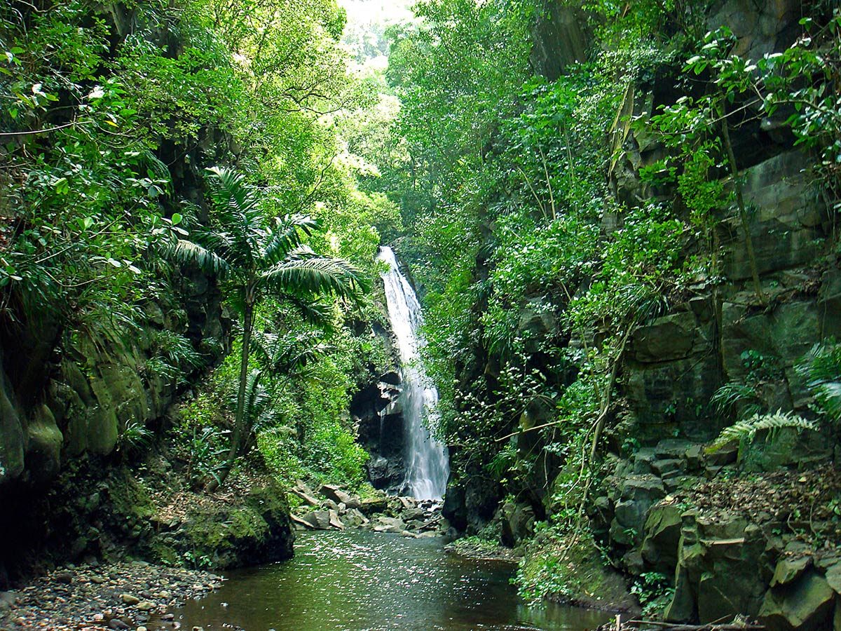 Visit Caribbean BaleineFalls